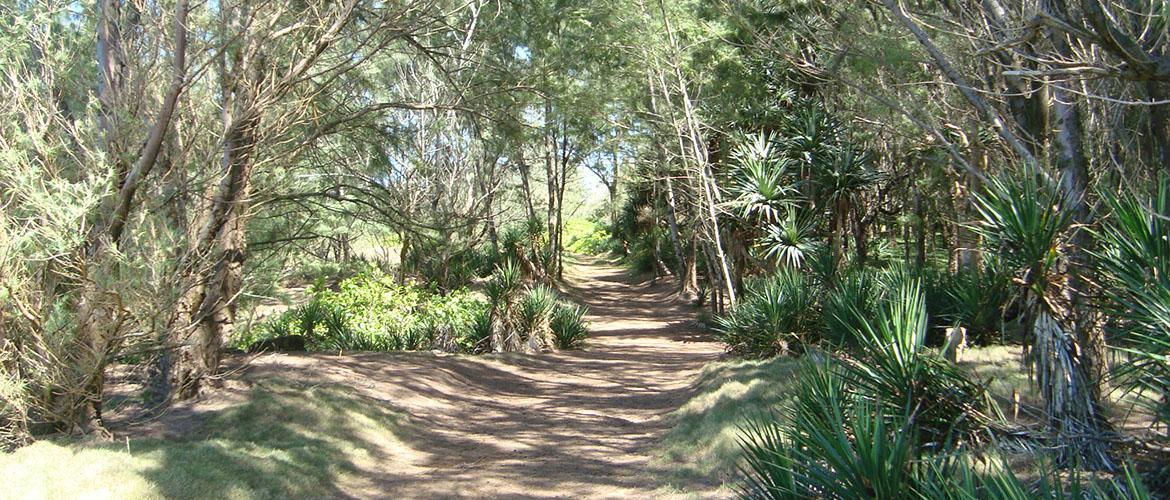 Andrea Lodge Gris Gris hiking path 